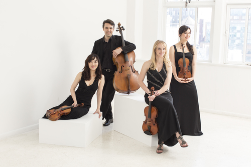 Solera Quartet in Review